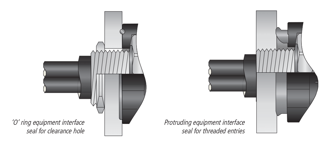 CMP Sentinel Corrosion Shield Illustration